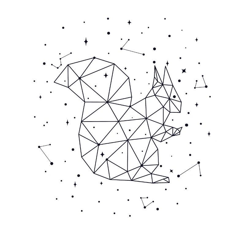 Constellation Squirrel Constellation Squirrel