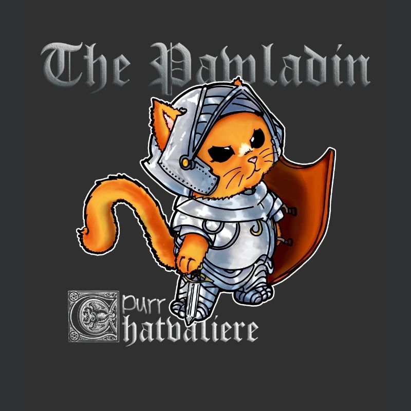 Mignon chat paladin chevalier avec épée