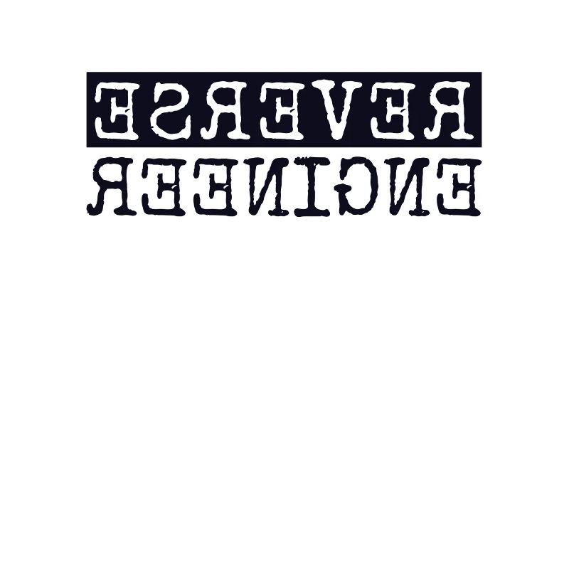 Reverse Engineer Software Engineer Developer