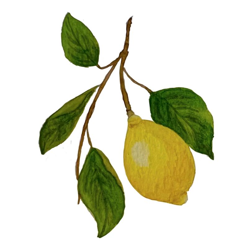Branche de citron