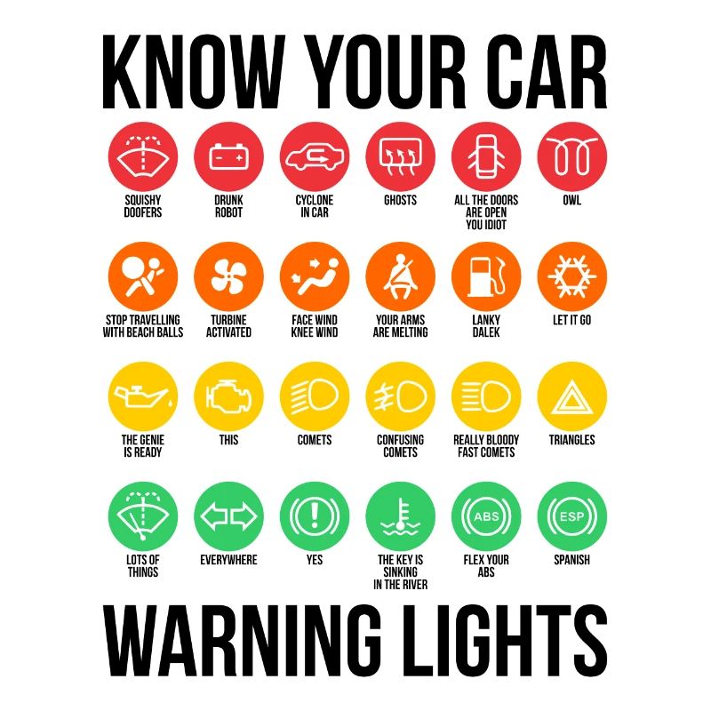 Sarcasm Know Your Car Warning Lights Gift