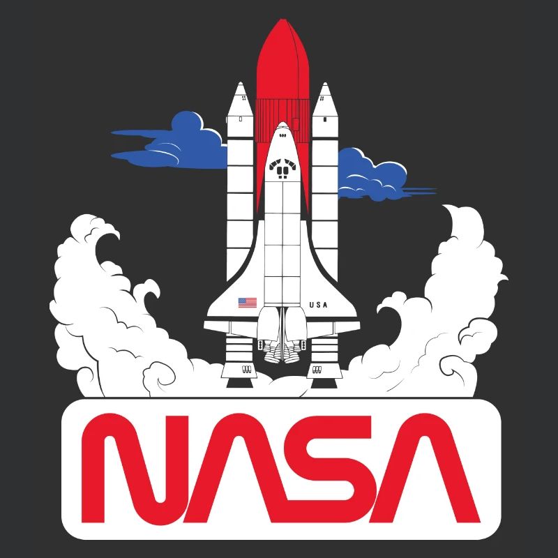 NASA Space Shuttle 3