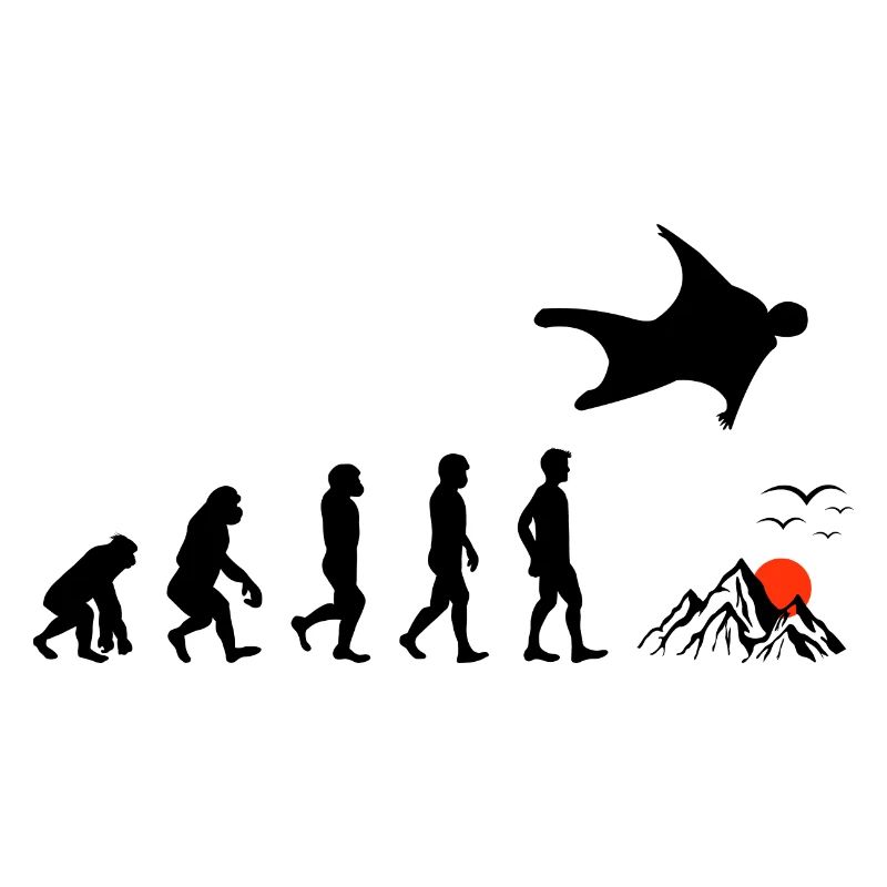 Wingsuit volant Base Jumping Skydiving Evolution