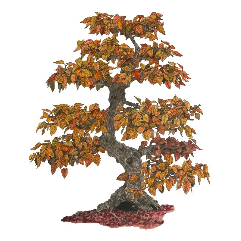 Bonsai Laubbaum mit roten Blättern