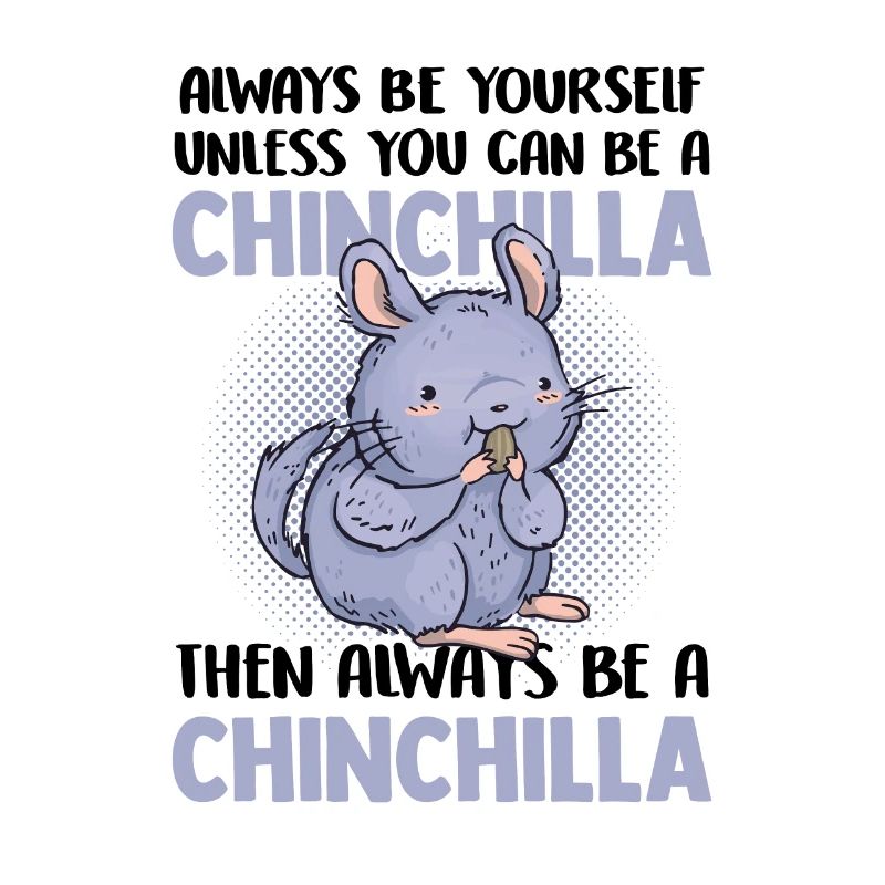 Dann sei immer ein Chinchilla Nagetier
