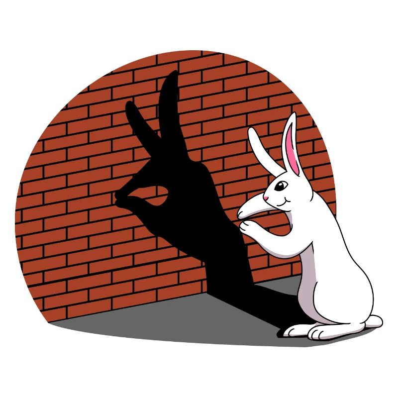 Rabbit Shadow Figure Shadow Image Shadow Play