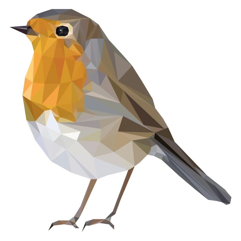 robin