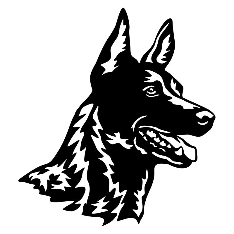 Hollandse Herder Kopf