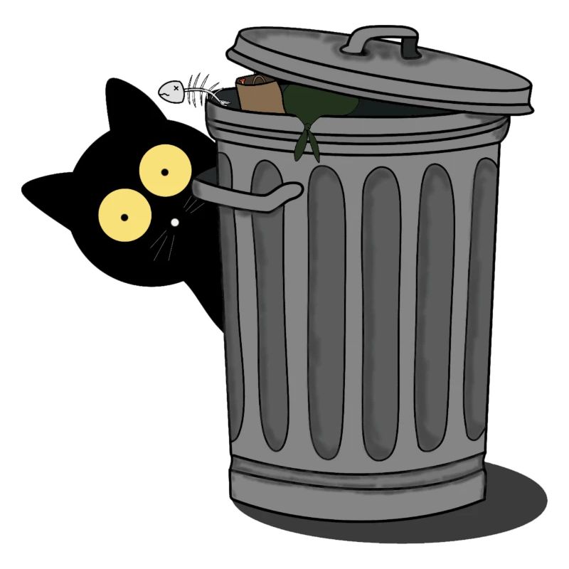 Gatto nero osservato