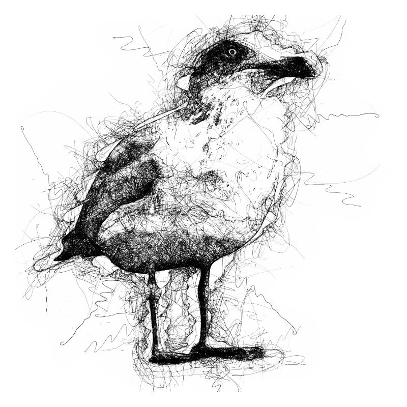 Möwe