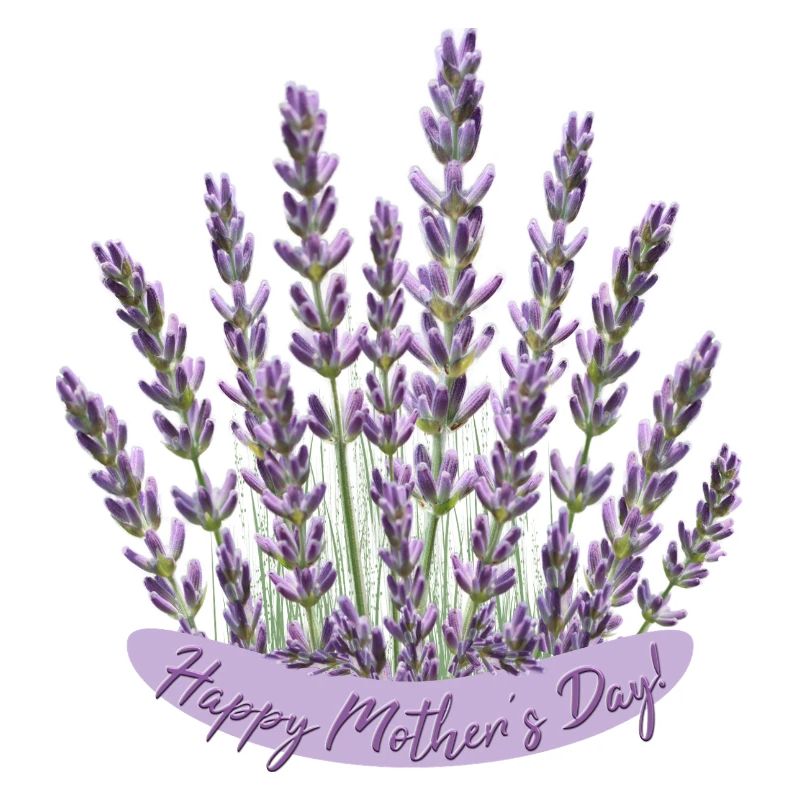 Lavendel Herz Muttertag Motiv beste Mama