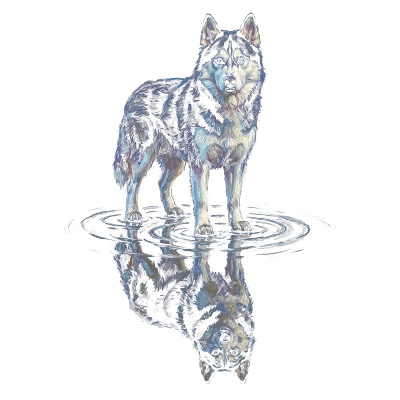 Siberian husky with water reflection