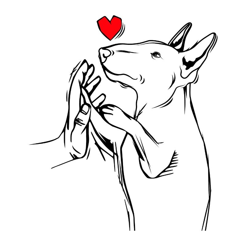 Bullterrier