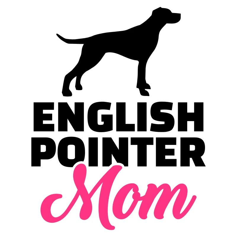 English Pointer