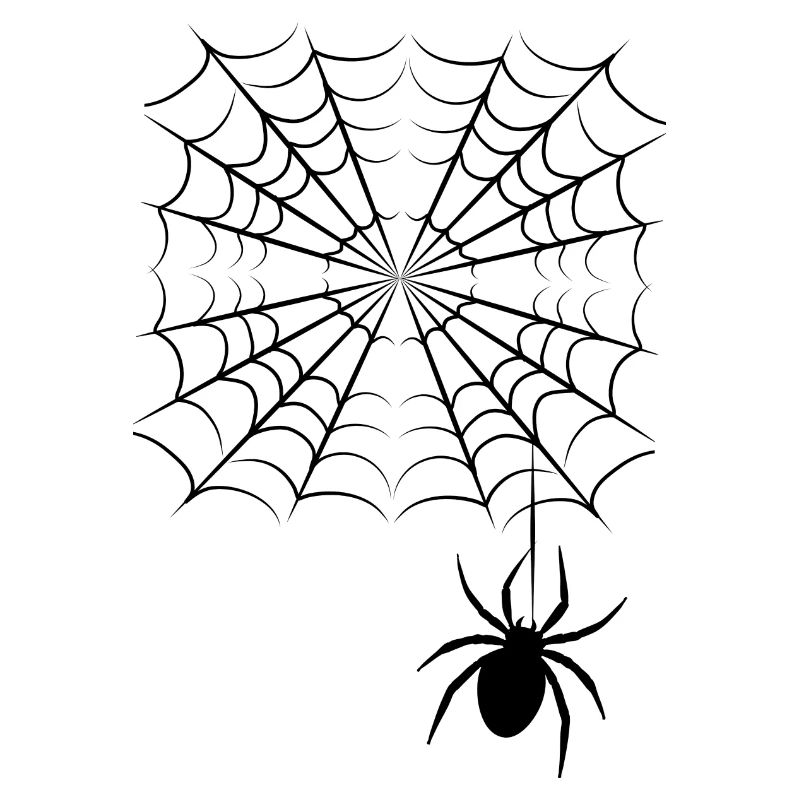 Spider Web & Spider |Spooky Halloween design