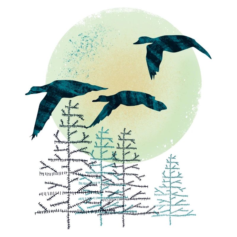 Migratory birds
