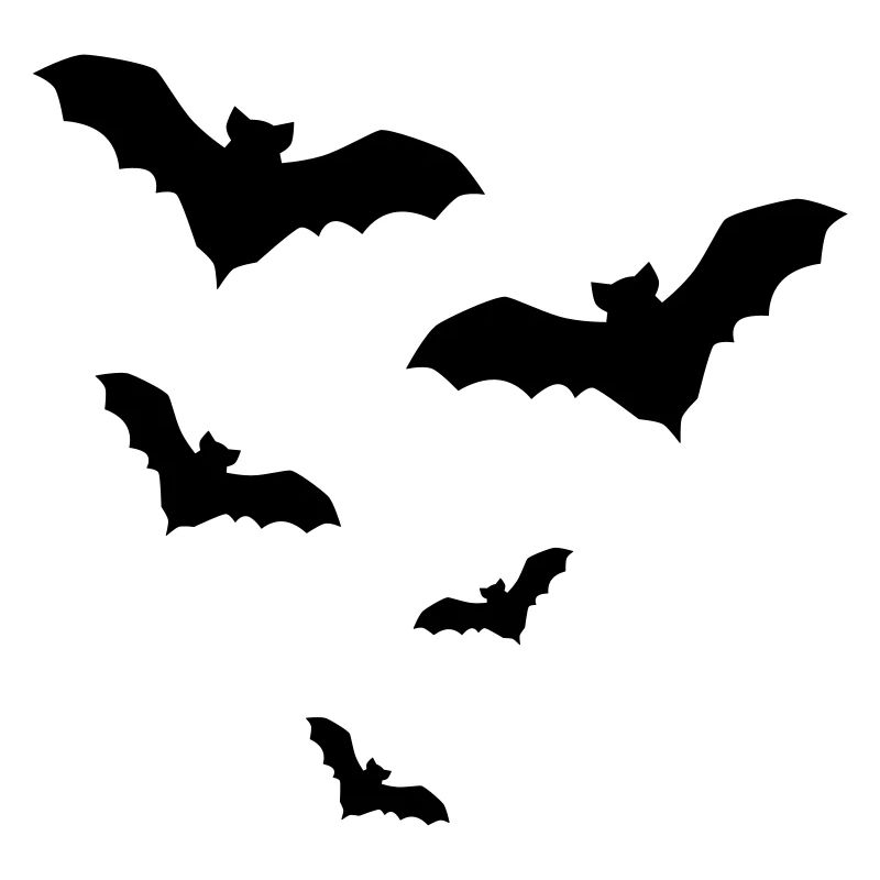 Fledermaus Fledermäuse