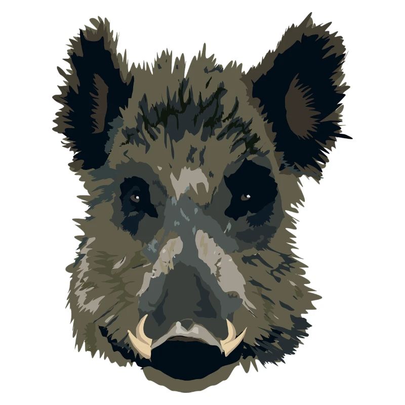 Wilsau oder Wildschwein als Geschenk