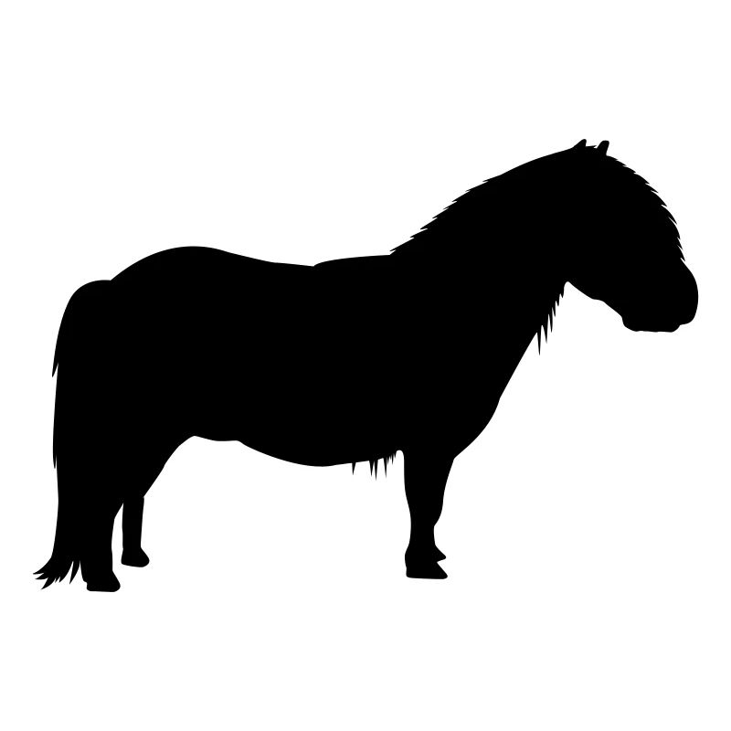 Shetty Shetland Shetlandpony