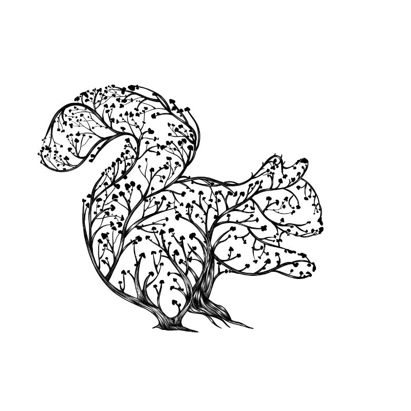 Squirrel made from branches. Decorative