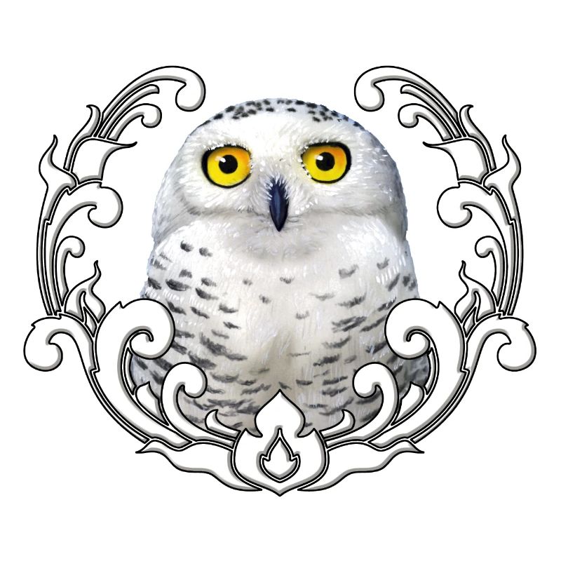 Schneeeule