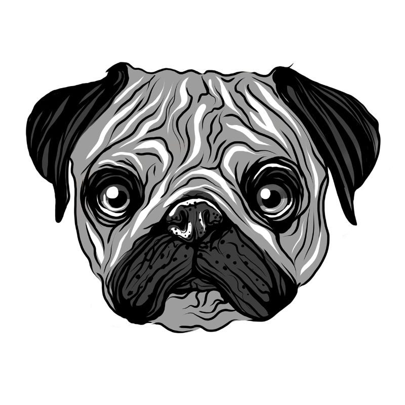 black grey pug lover mopsliebhaber