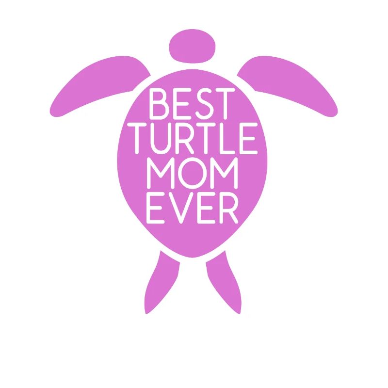 Turtle Owner Gift Turtle Lover