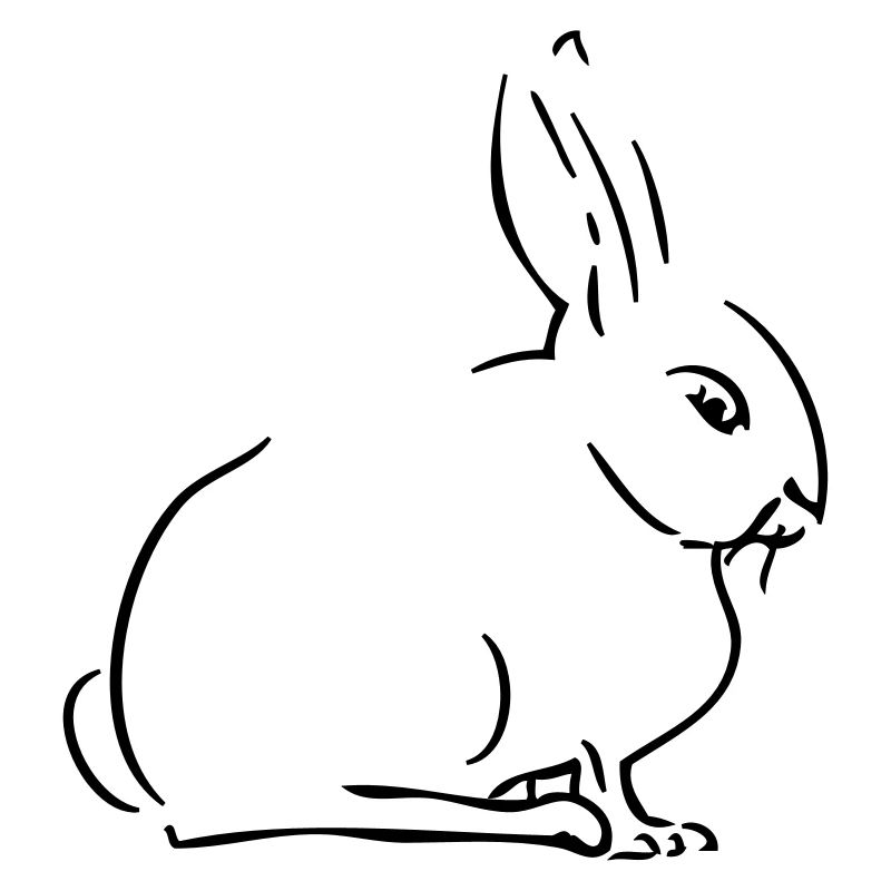Lapin