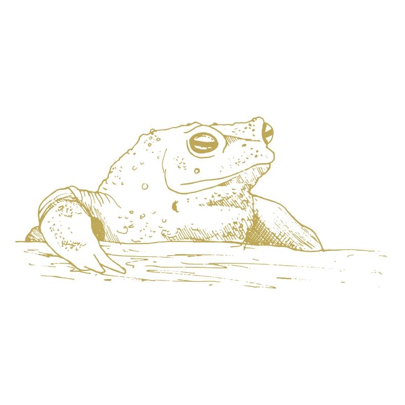 Illustrated designs with toad