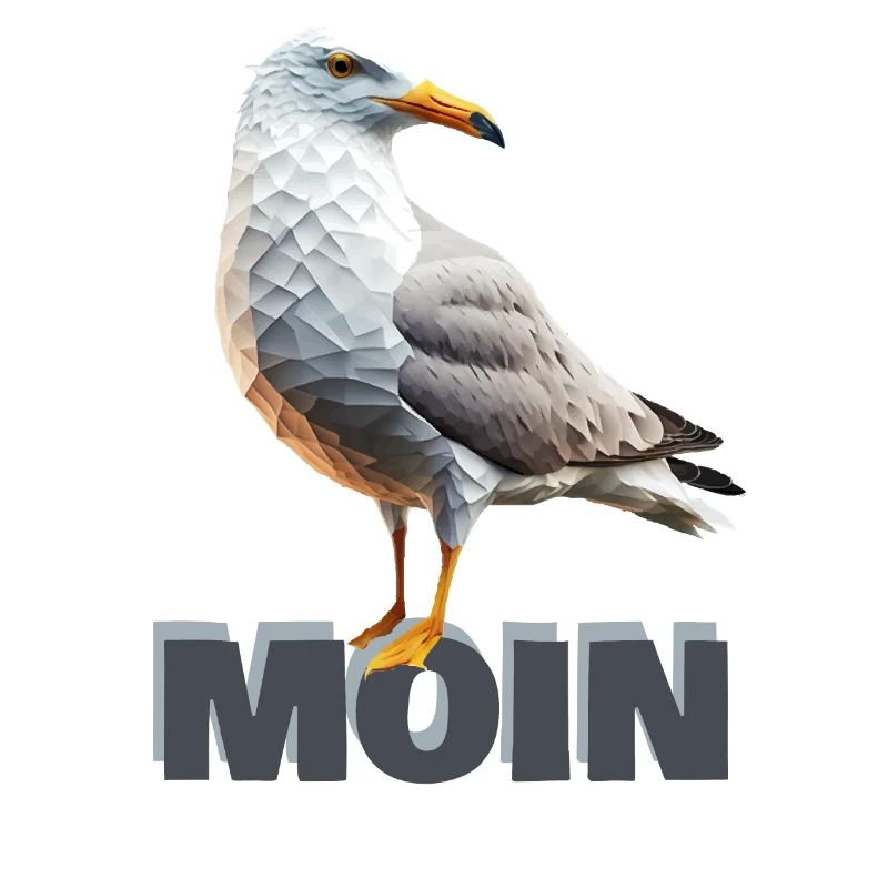 Moin Möwe Seemöwe Polygon Meer