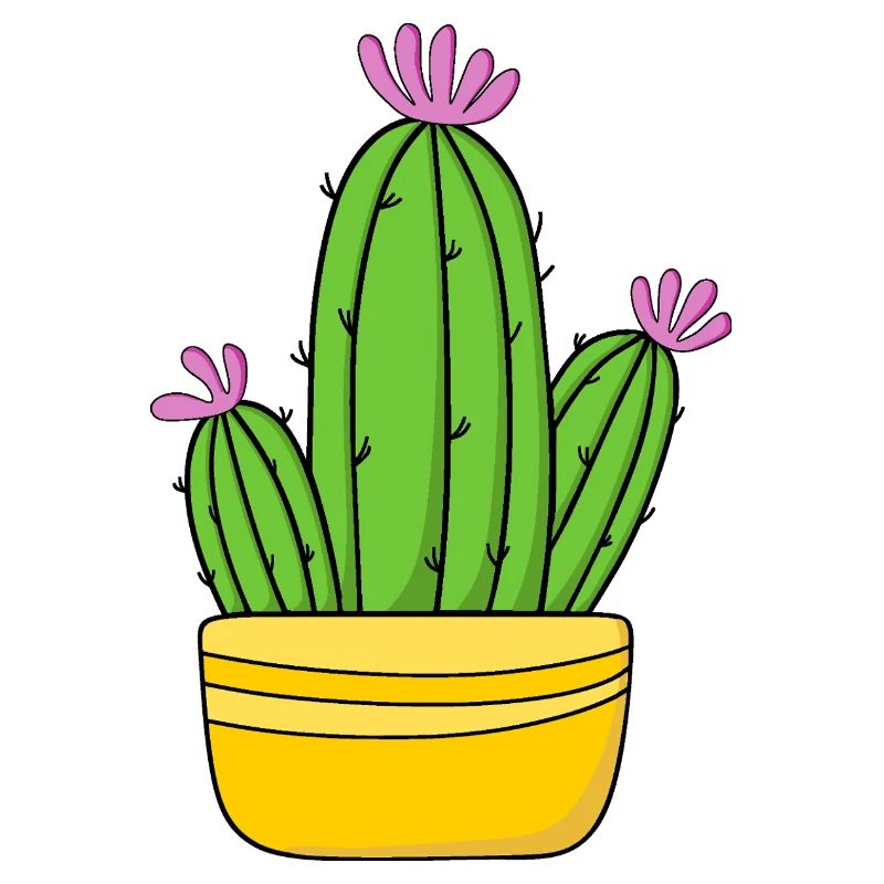 Cactus