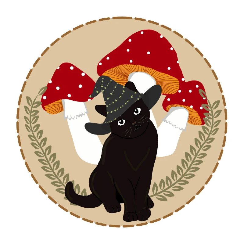Witch kitten