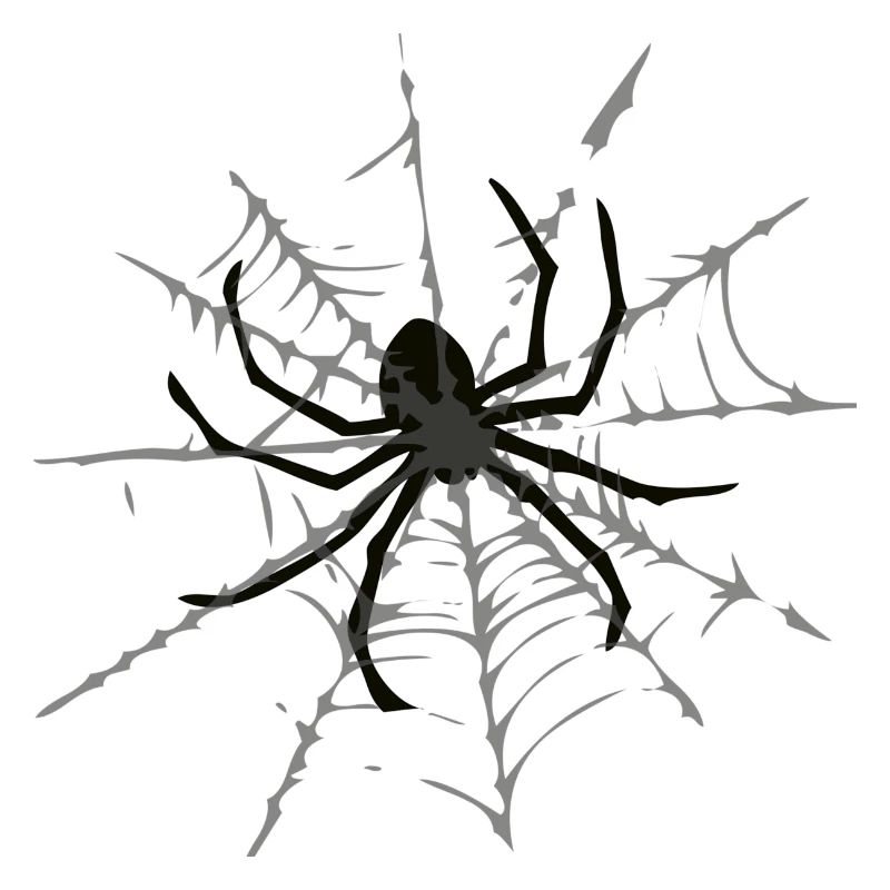 cobweb