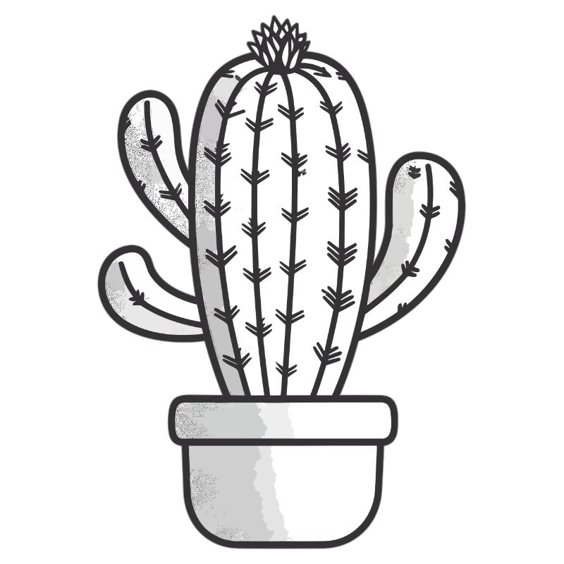 Dessin de cactus