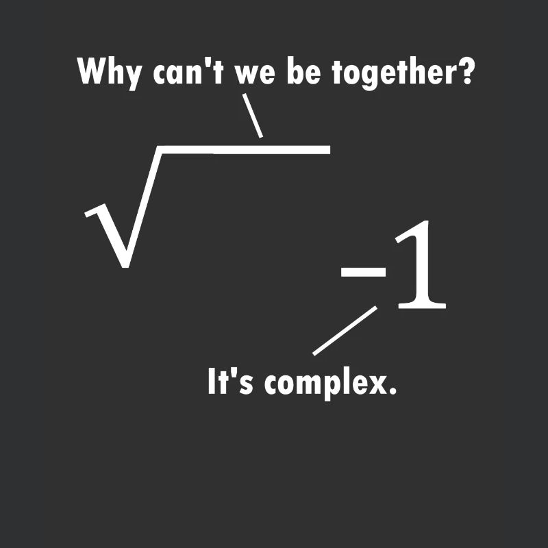 Math blague mathématicien cadeau nerd professeur