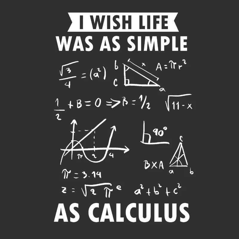 Mathematician Gift Math Teacher Nerd Science
