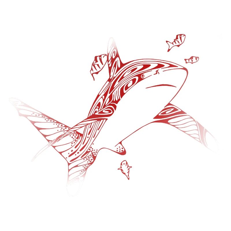 Requin de plongée