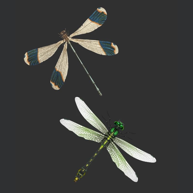Dragonfly Insect Yoga Meditation Summer Pattern