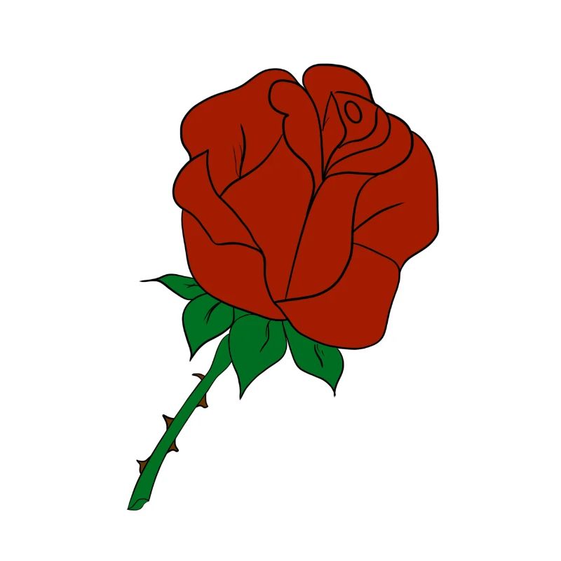 rose