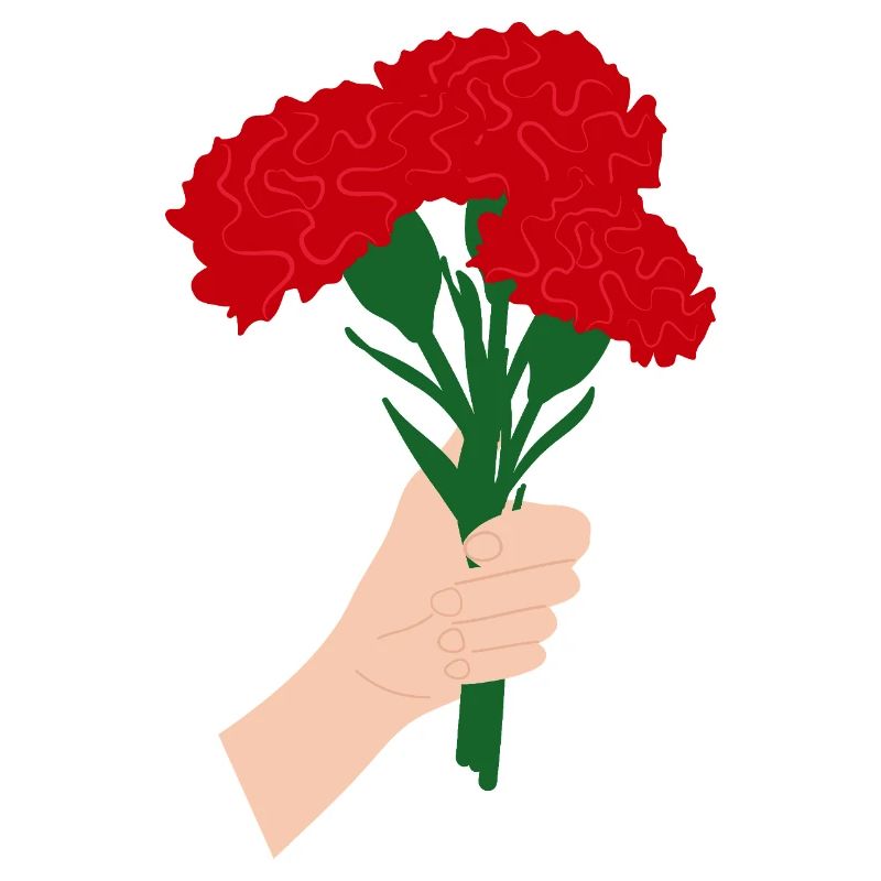 Pour vous- Fleur d’œillet rouge3