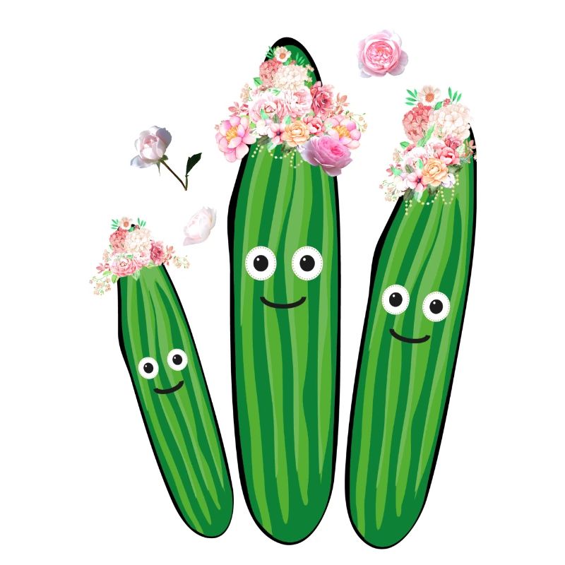 concombre,concombre,hippie,couronne, fleurs