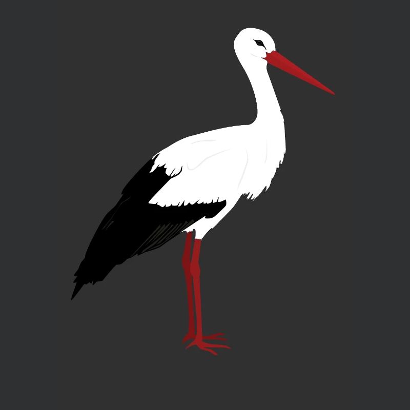 Storch steht