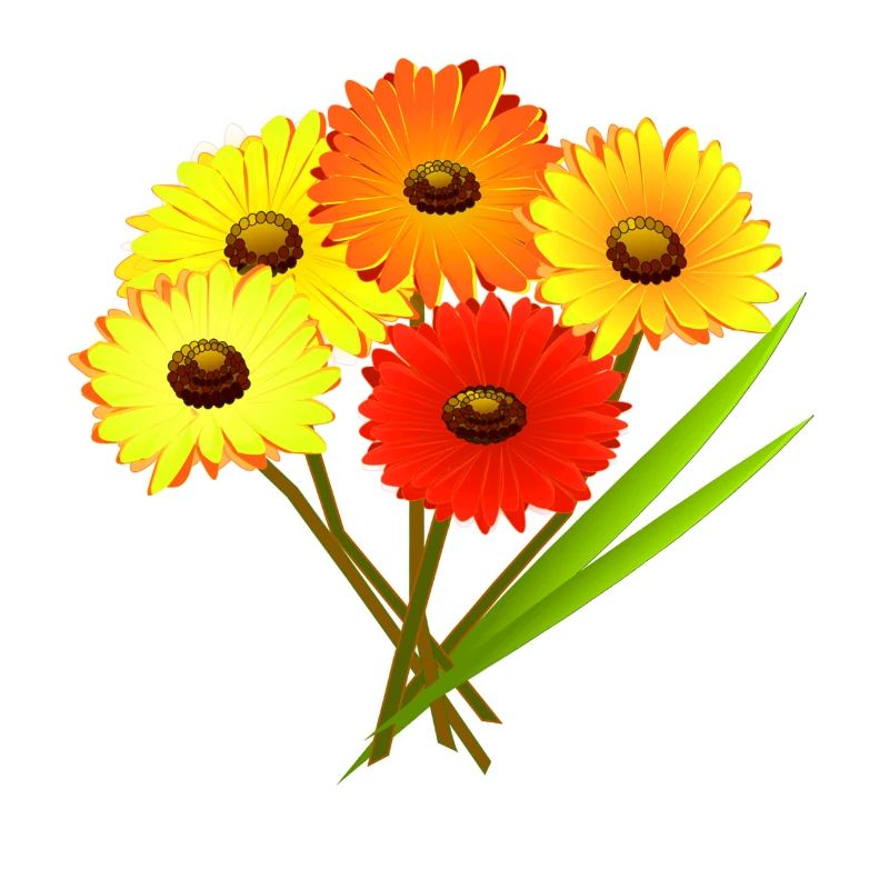 Bouquet de fleurs