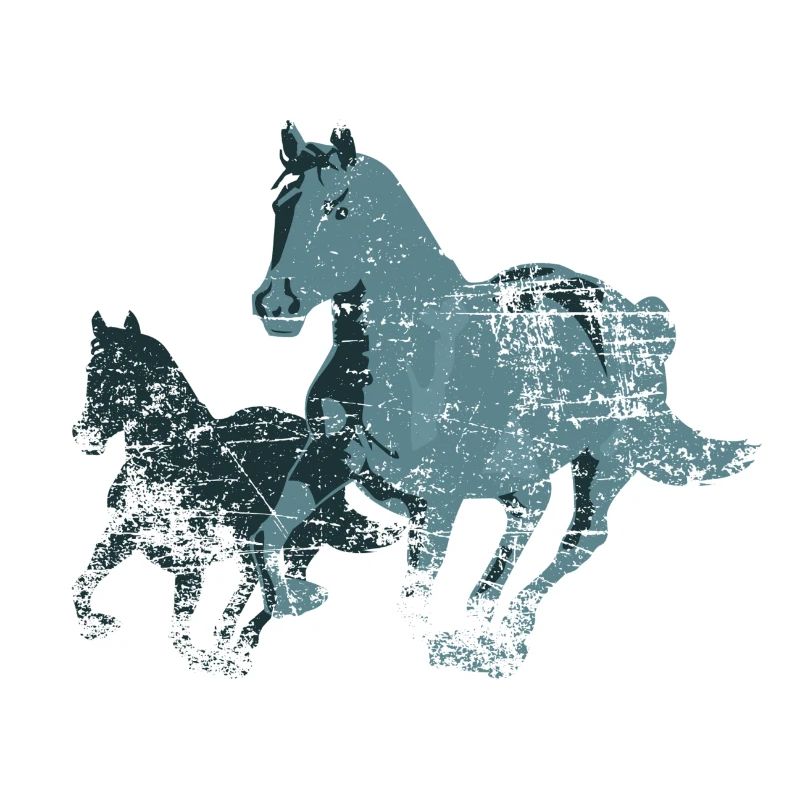 chevaux chevaux