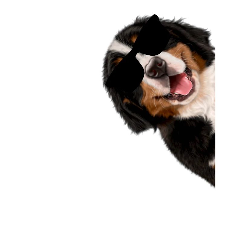 Hund mit Sonnenbrillen Bernersennen Hund cool