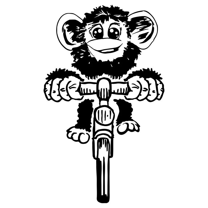 Singe sur le vélo
