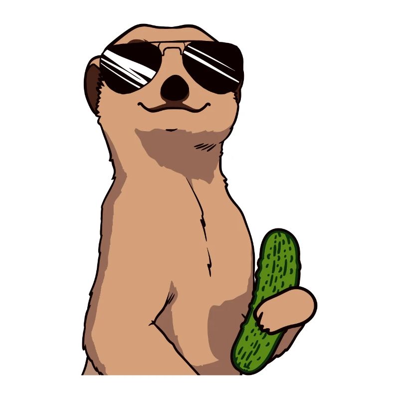 Drôle de suricate concombre cornichon amateur de concombre