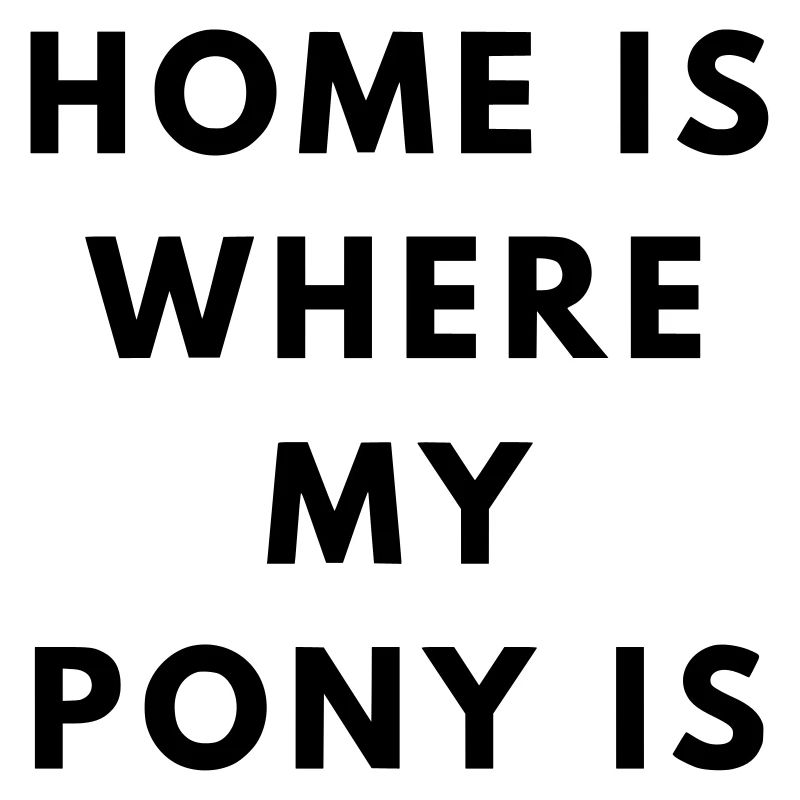 Maison de poney