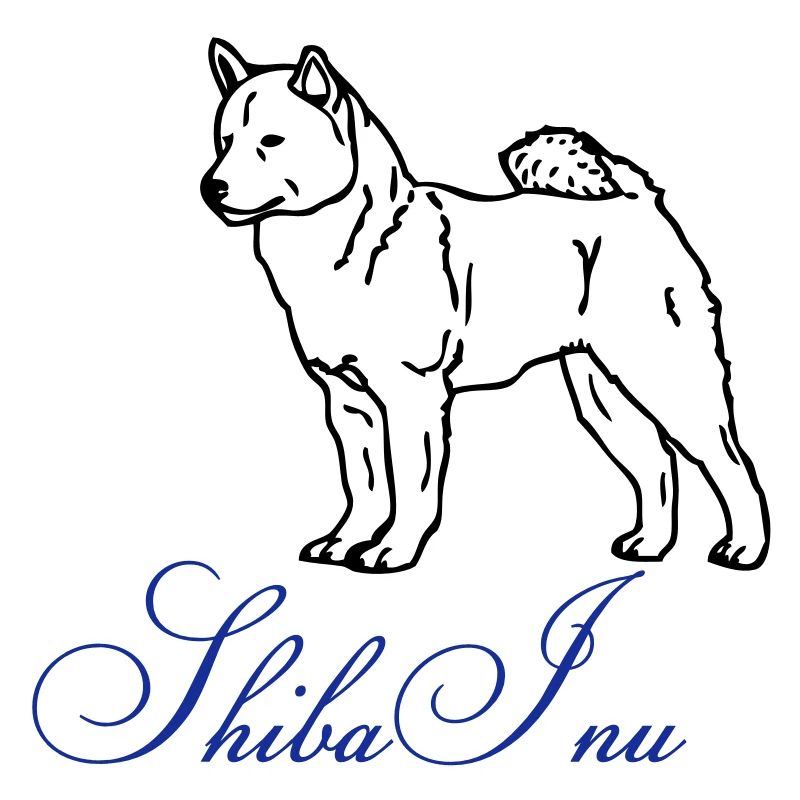 shiba inu © www.dog-power.nl