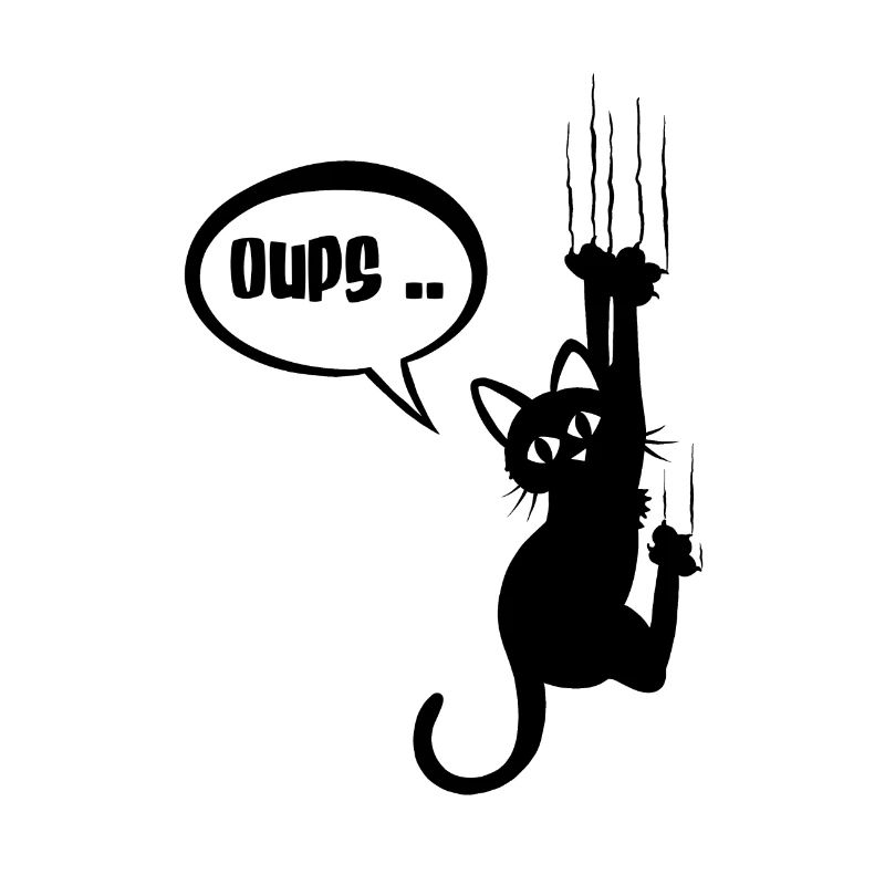 Oops.. black cat betises